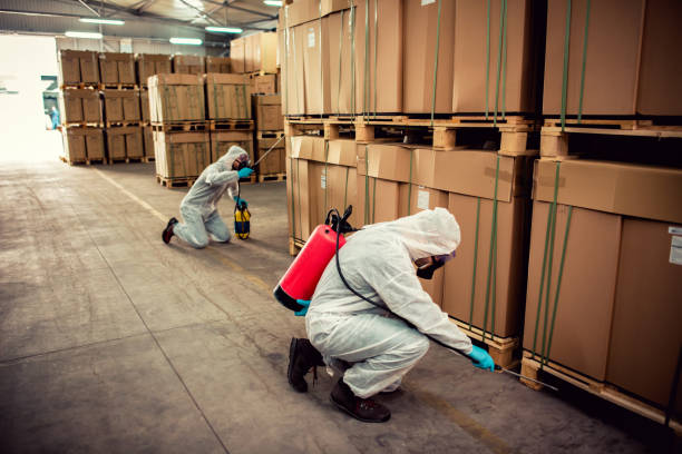 Best Emergency Pest Control  in Youngstown, NY