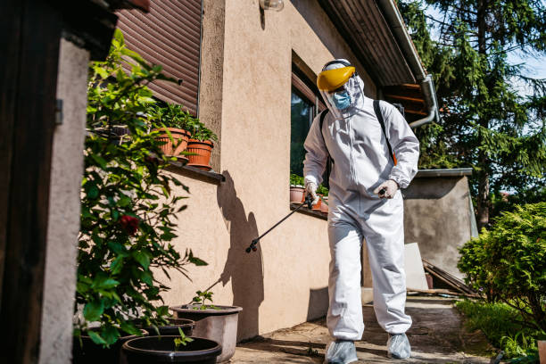 Best Best Pest Control Companies  in Youngstown, NY