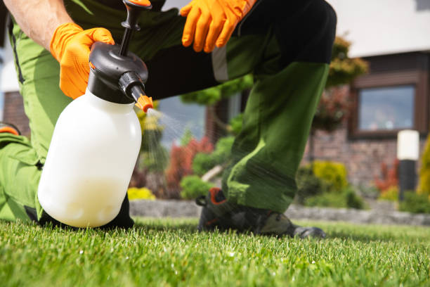 Best Pest Removal Services  in Youngstown, NY