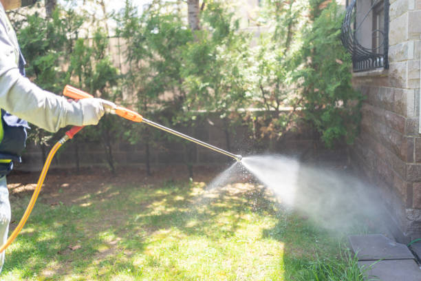Professional Pest Control in Youngstown, NY