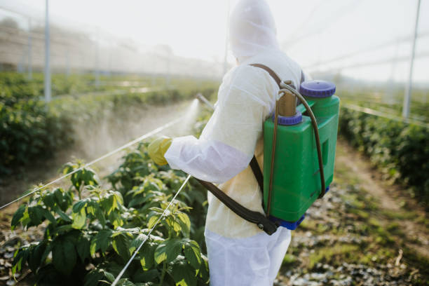 Best Exterminator Services  in Youngstown, NY
